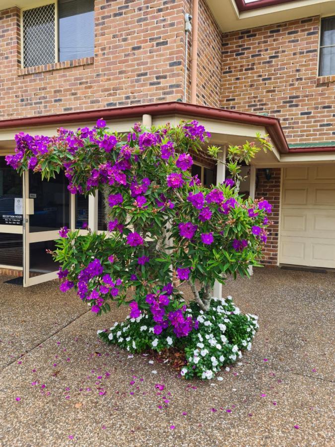 Country Gardens Motor Inn Toowoomba Esterno foto